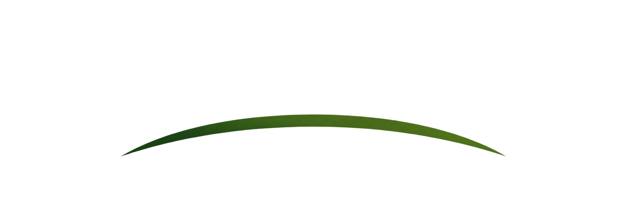 SAAS Land Services LLC